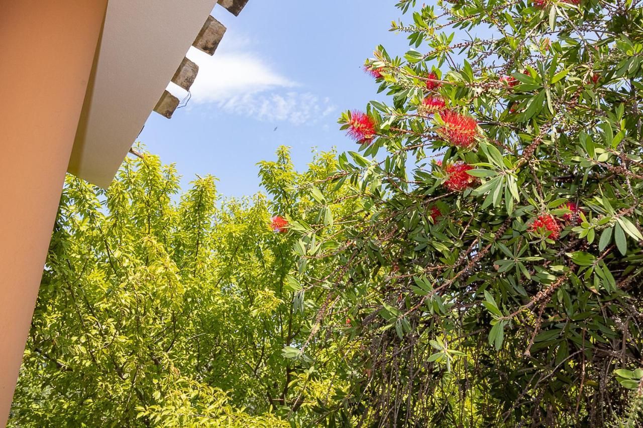 Villa Caterina La Maddalena  Exterior foto